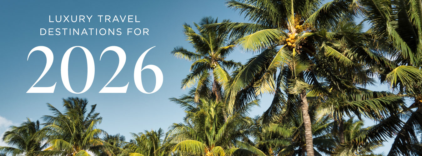 Partner_Header_Blog-1