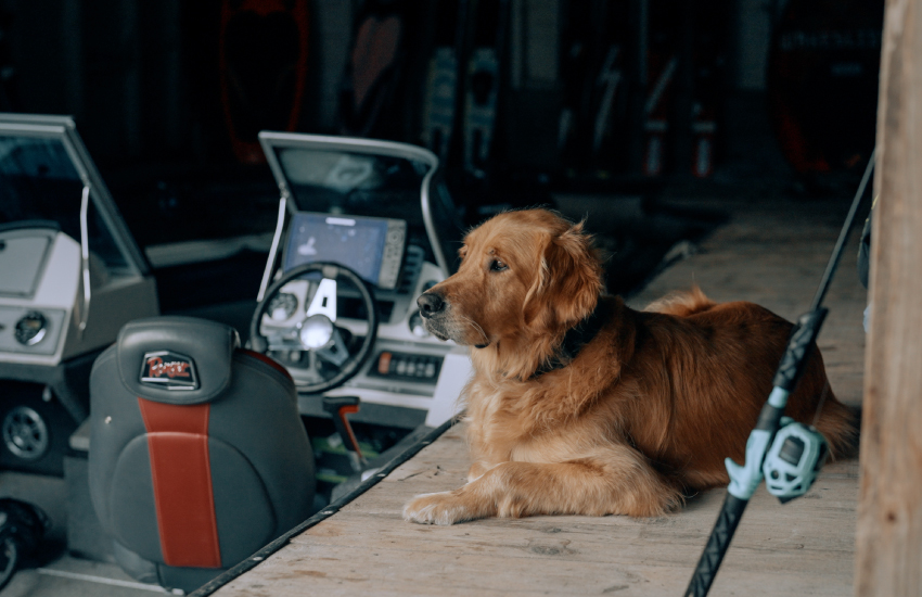 White-Eagle_Carousel_4